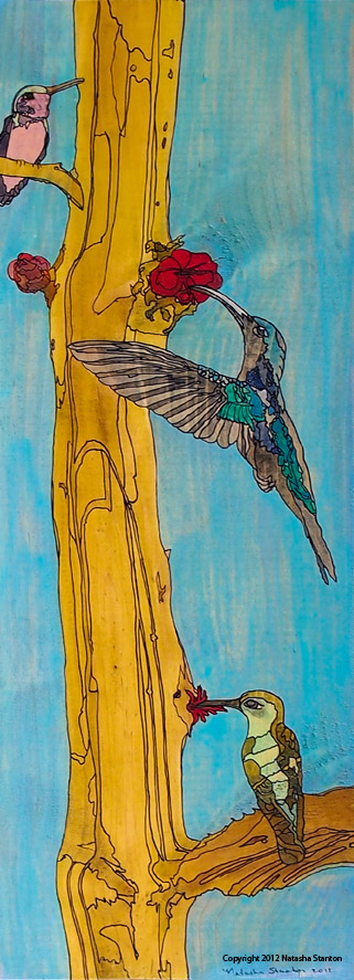 hummingbirds